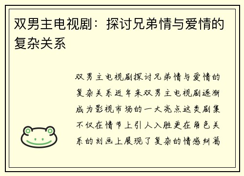 双男主电视剧：探讨兄弟情与爱情的复杂关系